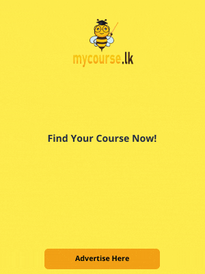Advertise Here